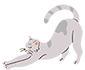 Gato estirándose